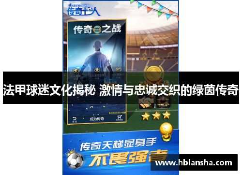 法甲球迷文化揭秘 激情与忠诚交织的绿茵传奇