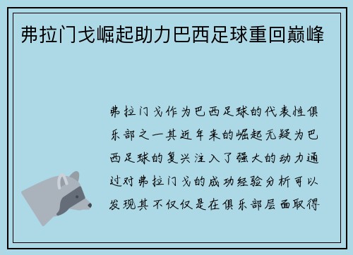 弗拉门戈崛起助力巴西足球重回巅峰