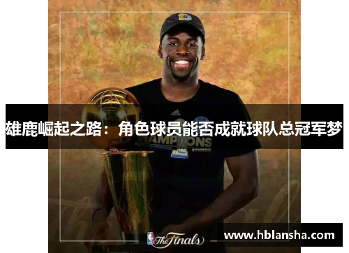 雄鹿崛起之路：角色球员能否成就球队总冠军梦